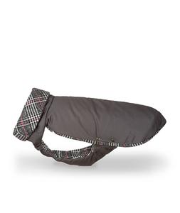 Abrigo de Invierno para Galgo Grey & Ribes Outlet Looking For