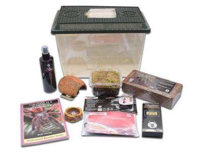 Adult Tarantula Starter Kit Sale Best Sale