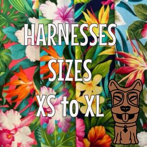 Bird of Paradise Garden Harness Online Online Outlet Sale
