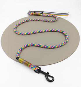 Pride rope lead with biothane handle - Design your own Cheap Sale Pictures