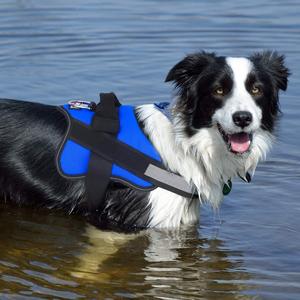 One Clip No-Pull Dog Harness Cheap Sale Cost
