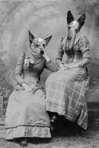 "Plaid Sisters" Pair Pet Portrait Explore Online