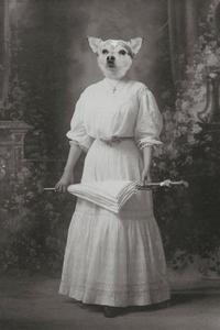 "A Nice Day For A Parasol" Pet Portrait For Cheap Cheap Online