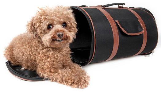 Airline Approved Fashion Cylinder Posh Pet Carrier Choice