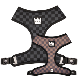 DAWGMIER Reversible Harness Popular Sale Online