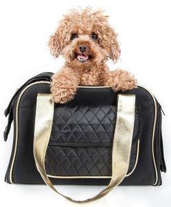 Airline Approved Mystique Fashion Pet Carrier 100% Authentic