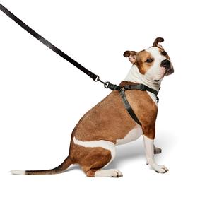 Adjustable Nylon Harness Outlet Manchester Great Sale