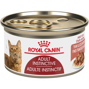 Adult Instinctive Thin Slices Buy Cheap Visit