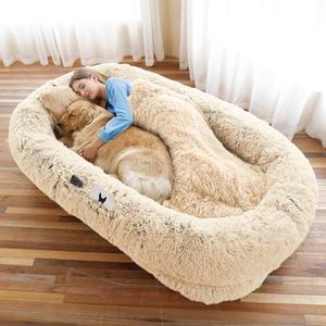 Human Dog Bed, 71''x45''x12'' Size Fits You and Pets, Washable Faux Fur Dog Bed for People Doze Off, Napping Orthopedic Dog Bed, Present Plump Pillow, Blanket, Strap - Beige Real Sale Online