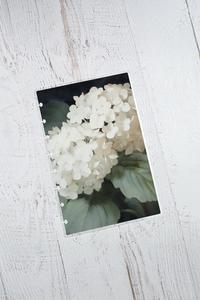 Laminated Planner Dashboard | Hydrangea Buy Cheap Release Dates