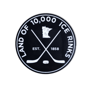 10K Rinks Vinyl Sticker Free Shipping For Cheap