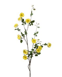 ROSE SPRAY YELLOW 2025 Cheap Pice