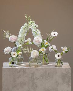 Rosiantina Discount High Quality