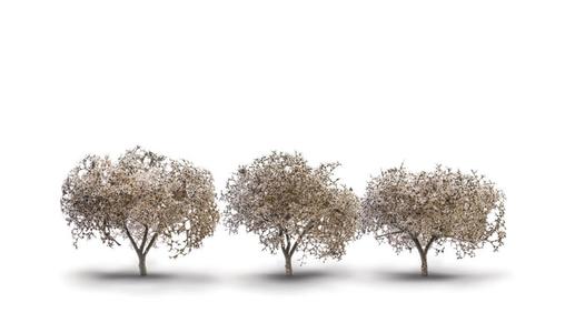 Woodland Scenics TR3594 Cherry Blossom 1.75-2.25" (3) Get Authentic Cheap Online
