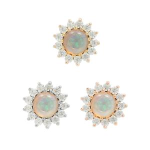 Delphine Sale Classic