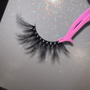 Hollywood Lashes Footlocker Finishline Online