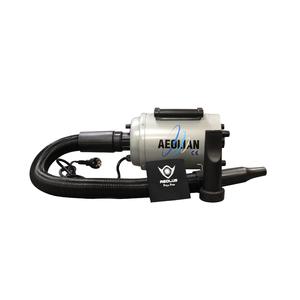 Aeolian Blaster Single Motor Dryer Cheap Sale Tumblr