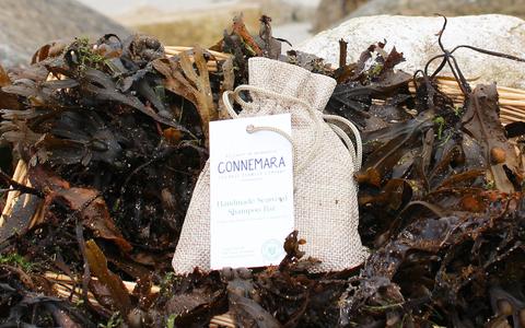 Handmade Seaweed Shampoo Bar Cheap Eastbay