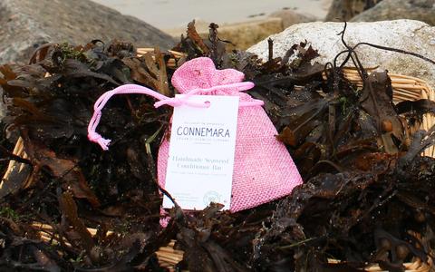 Handmade Seaweed Conditioner Bar 2025 Newest Sale Online