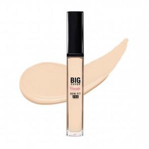 Big Cover Skin Fit Concealer Pro Discount Many Kinds Of