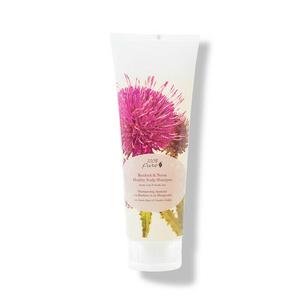 100% Pure Healthy Scalp Shampoo Big Sale