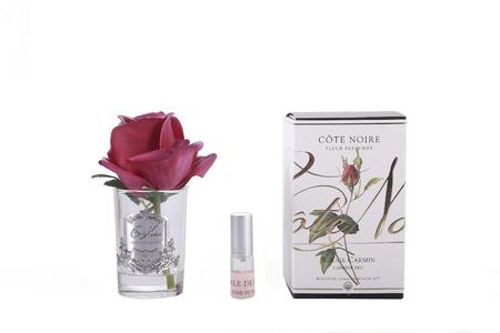 Cote Noire Rosebud Carmine Red with fragrance GMR44 Marketable