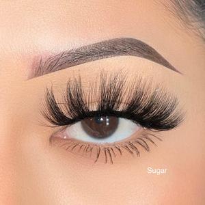 Sugar - Lash Online Cheap Online
