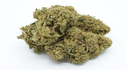 Lemon Kush CBD Blm 2 gr Release Dates