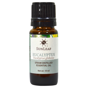 10 ml Eucalyptus Single Note Essential Oil Clearance Factory Outlet