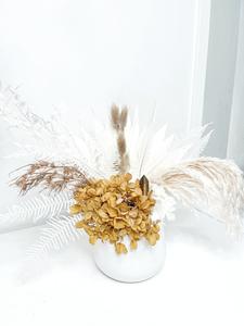 Everlasting energy potted dried flowers and crystal - tigers eye. Outlet Official Site