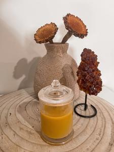 Citrine cluster with stand Browse