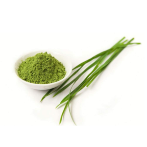 BARLEY GRASS POWDER Buy Cheap Explore