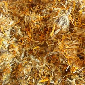 ARNICA FLOWER WHOLE (MEXICO) Very Cheap Pice