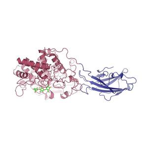 Cellulase (Trichoderma) Sast Cheap Pice