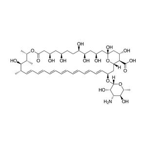 Amphotericin B Solution 100X, Sterile Cheap Purchase