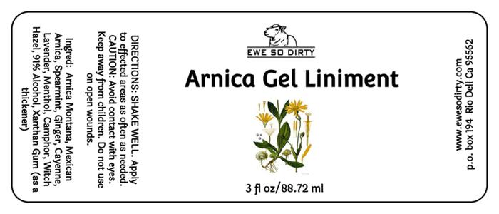 Arnica Gel Liniment, 3oz Gel Pump bottle - NEW LARGER SIZE! Best Sale For Sale