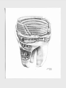 Tooth under Construction Cheap Big Sale