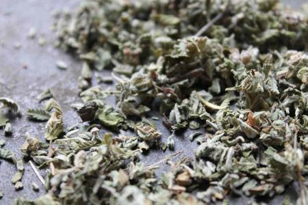 Damiana Sale Great Deals