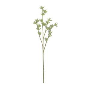 Eucalyptus Seed Spray Store Sale