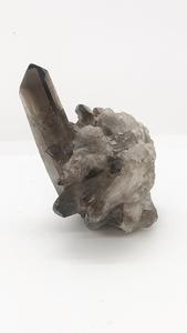 3.75" 10oz Smoky Quartz Cluster Natural Druzy Mineral With Paypal Cheap Pice