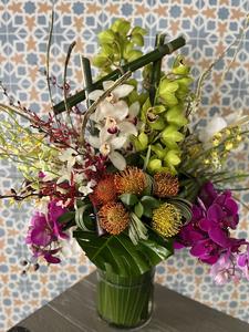 Tropical Explosion Wide Range Of Sale Online