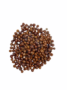 Pinguica Fruit Cheap Online Online