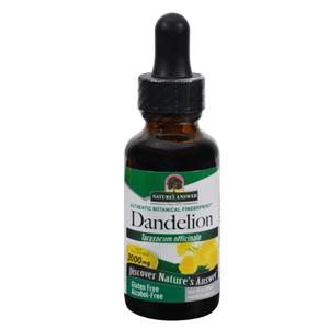 Dandelion 30ml Cheap Sale Really
