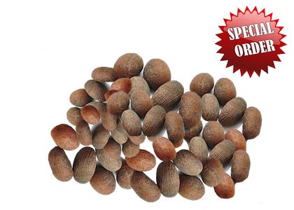 Bitter Kola (Special Order) 1.0 lb Pre Order