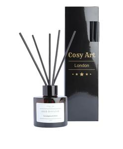 Essential Oil Diffuser Eucalyptus and Mint For Sale 2025