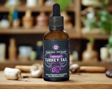 Turkey Tail extract 50ml Very Cheap