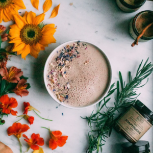 Adaptogenic Powder | 7 Medicinal Mushrooms Cacao For Cheap Pice