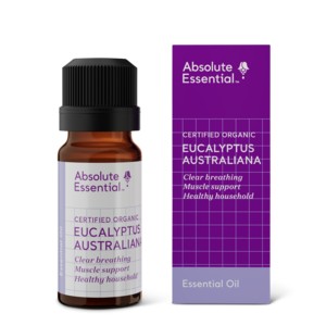 Absolute Essential - Eucalyptus Australiana Oil For Sale Top Quality