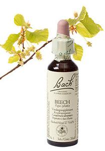 Bach Beech / Beuk 20ml Amazon Cheap Online