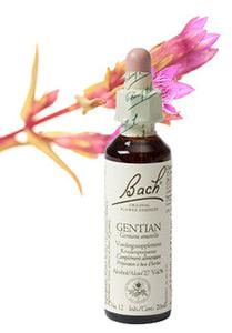 Bach Gentian / Gentiaan 20ml Sale Fashion